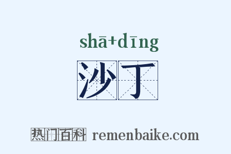 沙丁是什么意思的图片
